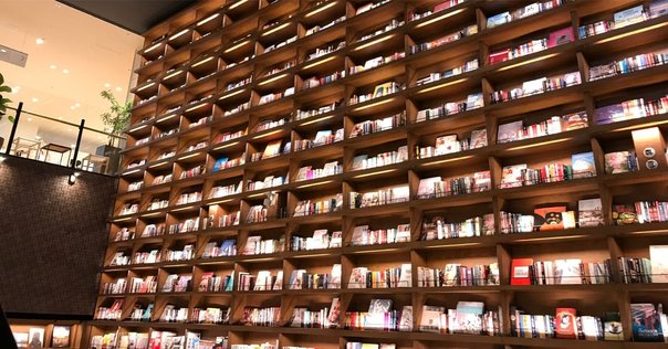 なぜ聖書は正典になれたのか『旧約聖書の誕生』｜chaco