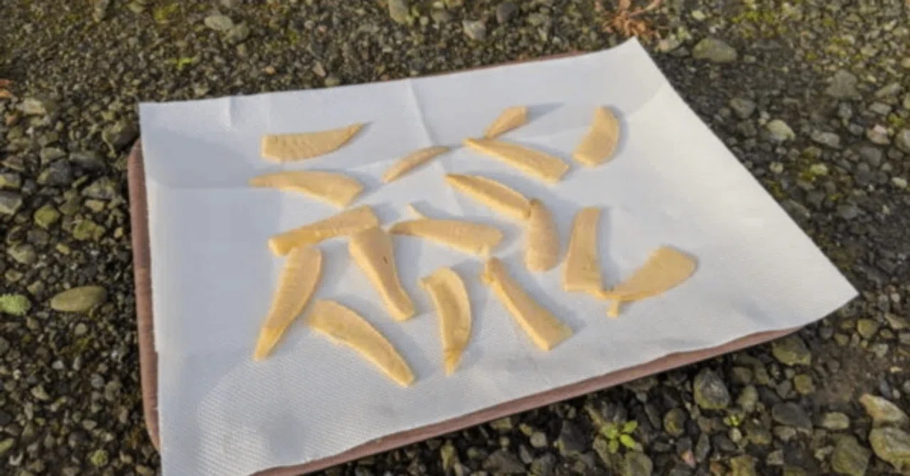 ふっちょんぱ 佛跳牆 - Wikipedia