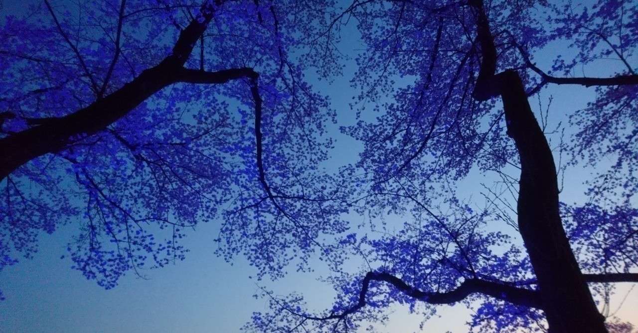 犬殺しの春 わたしの家族 3 田中ささき Note