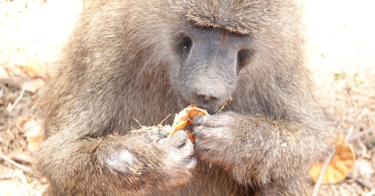 be73ab9bdd9f3e6177342dba43b2b0