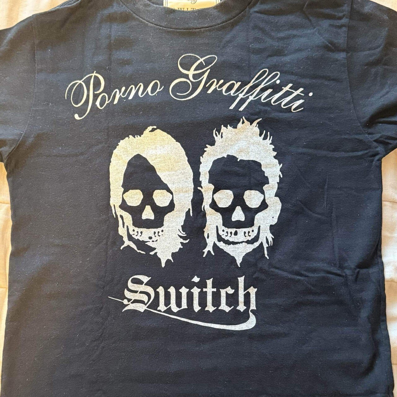 ポルノグラフィティライブレポ『ポルノグラフテー IN OKINAWA Shine on