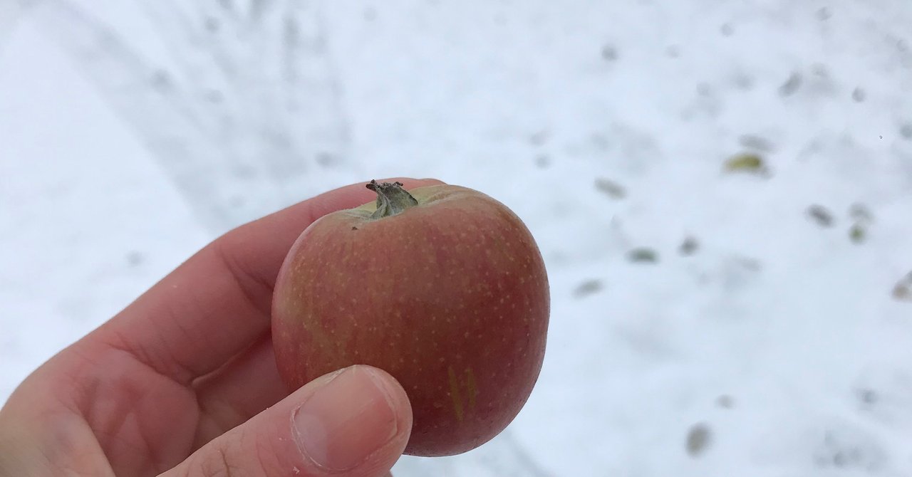 小さいりんごを育てる人がいてもいいと思うの Atsuko Nagai りんごをもっとたのしもう Note 小さいりんごを育てる人がいてもいいと思うの Atsuko Nagai りんごをもっとたのしもう Note