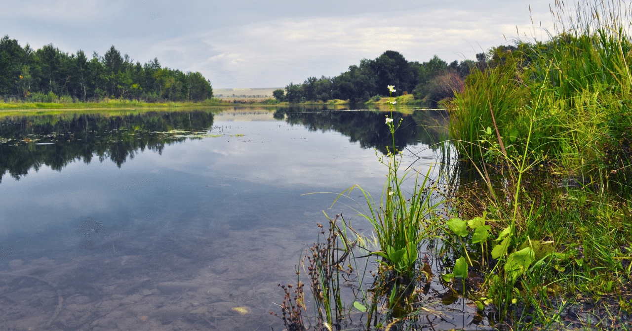 【レア】ニューヨーク・デリ周辺で流れている音楽 レア】ニューヨーク・デリ周辺で流れている音楽 レア