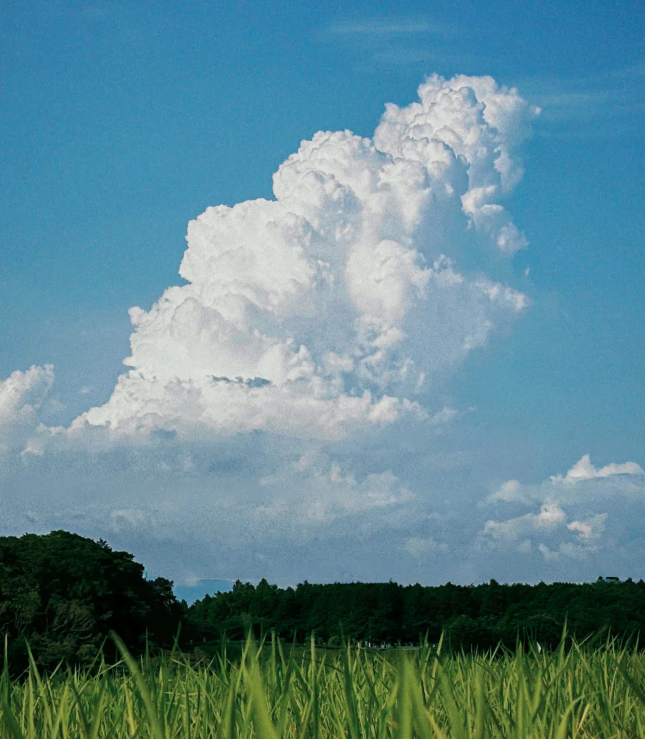 空と雲の風景写真　サイズは相談 空と雲の写真素材｜写真素材なら「写真AC」無料（フリー）ダウンロードOK