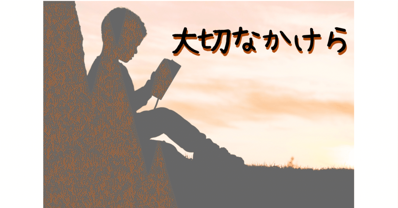 小5の息子が選んだ絵本『ちいちゃんのかげおくり』～もう一度