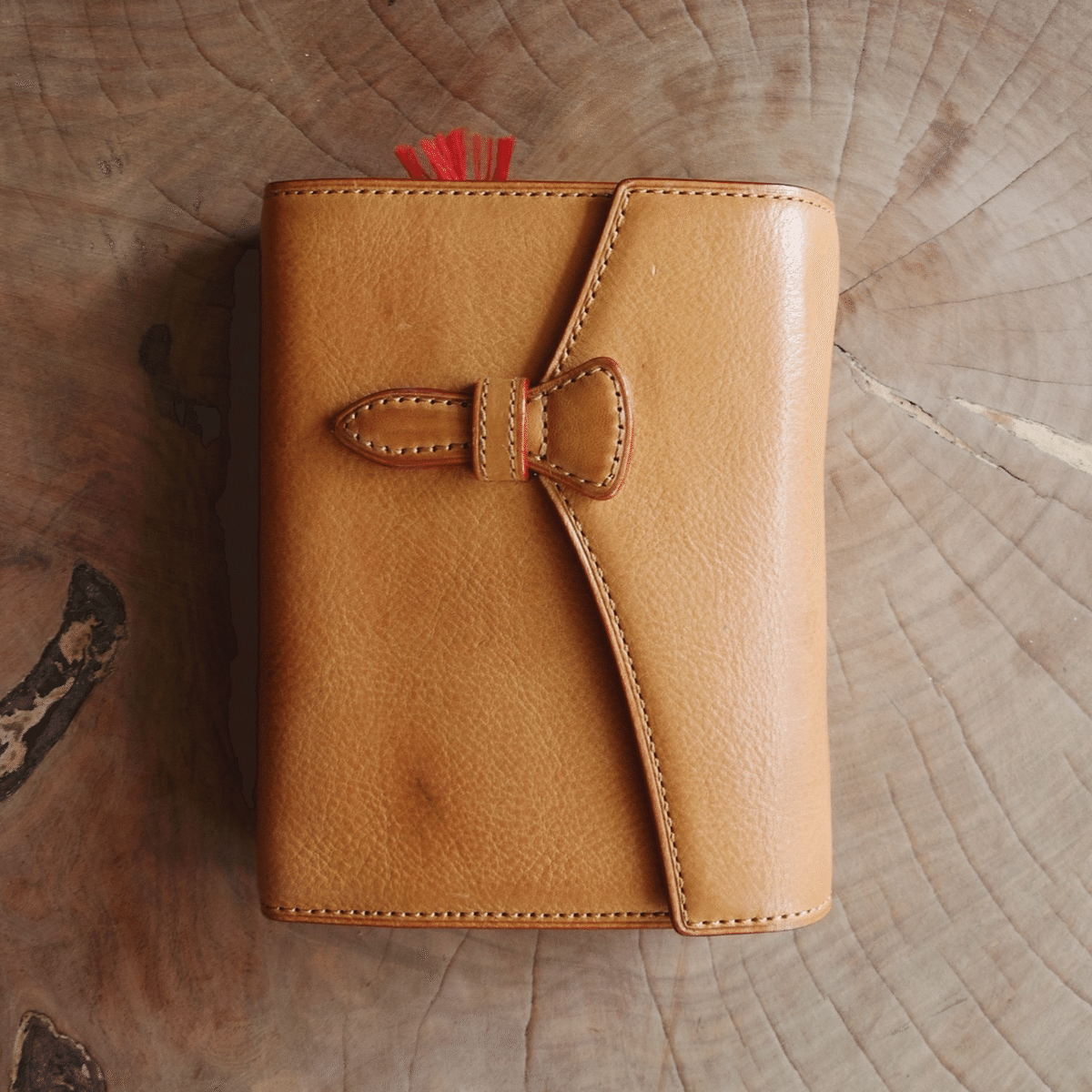 ブレイリオ ミネルバボックス システム手帳 カルマ M5・ミニ6 / ベルト