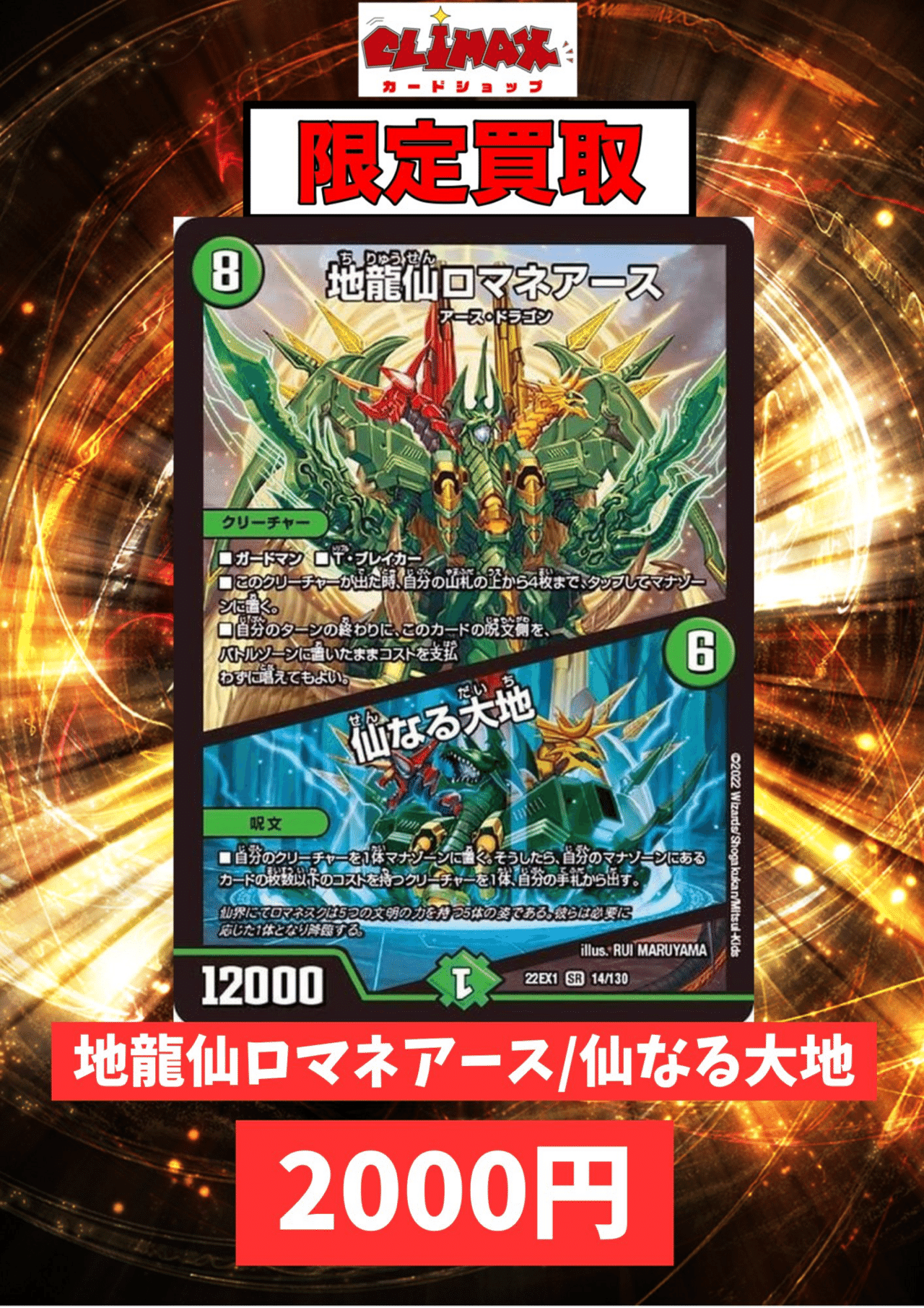 キャベツ農家に俺はなる｜Taichiとこ/ところしぐ