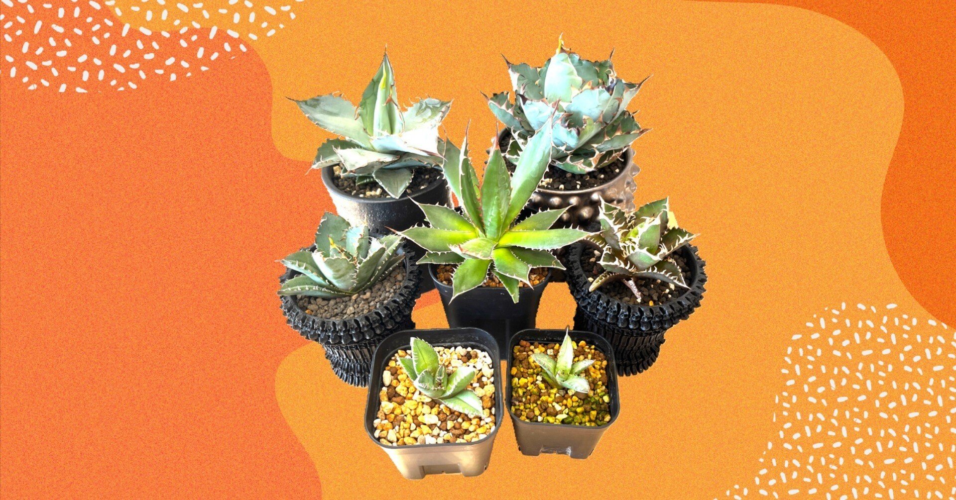 a135cf33bc859981708df56ccc43ce