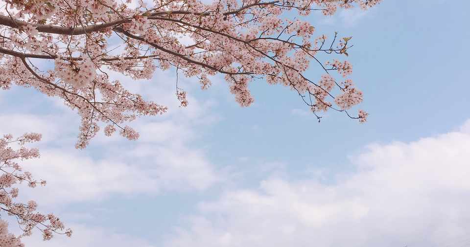 卒業式を欠席した そして11年間の片思いが 終わった 浪人生 Note