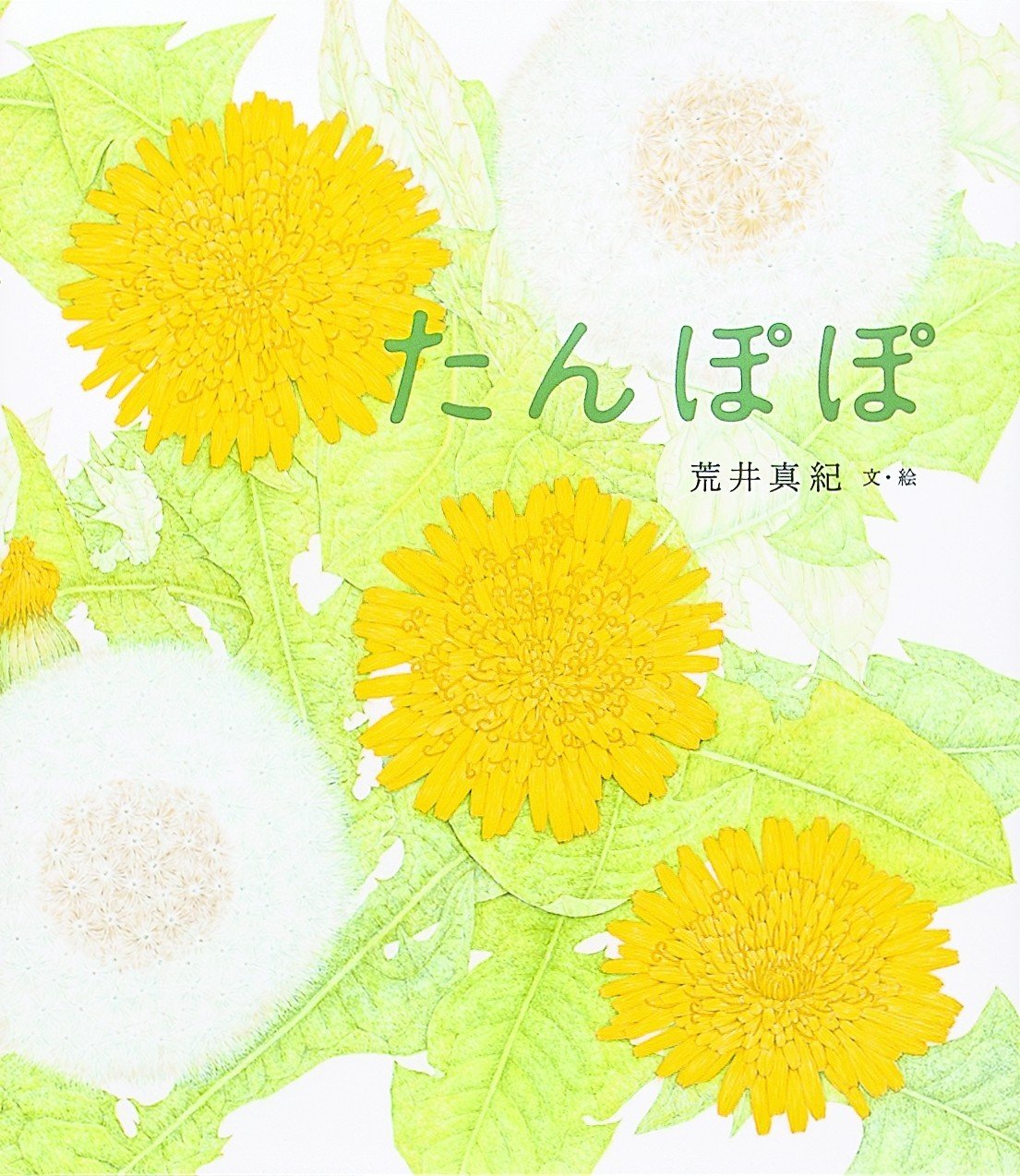 細密で美しい科学絵本『たんぽぽ』｜株式会社金の星社