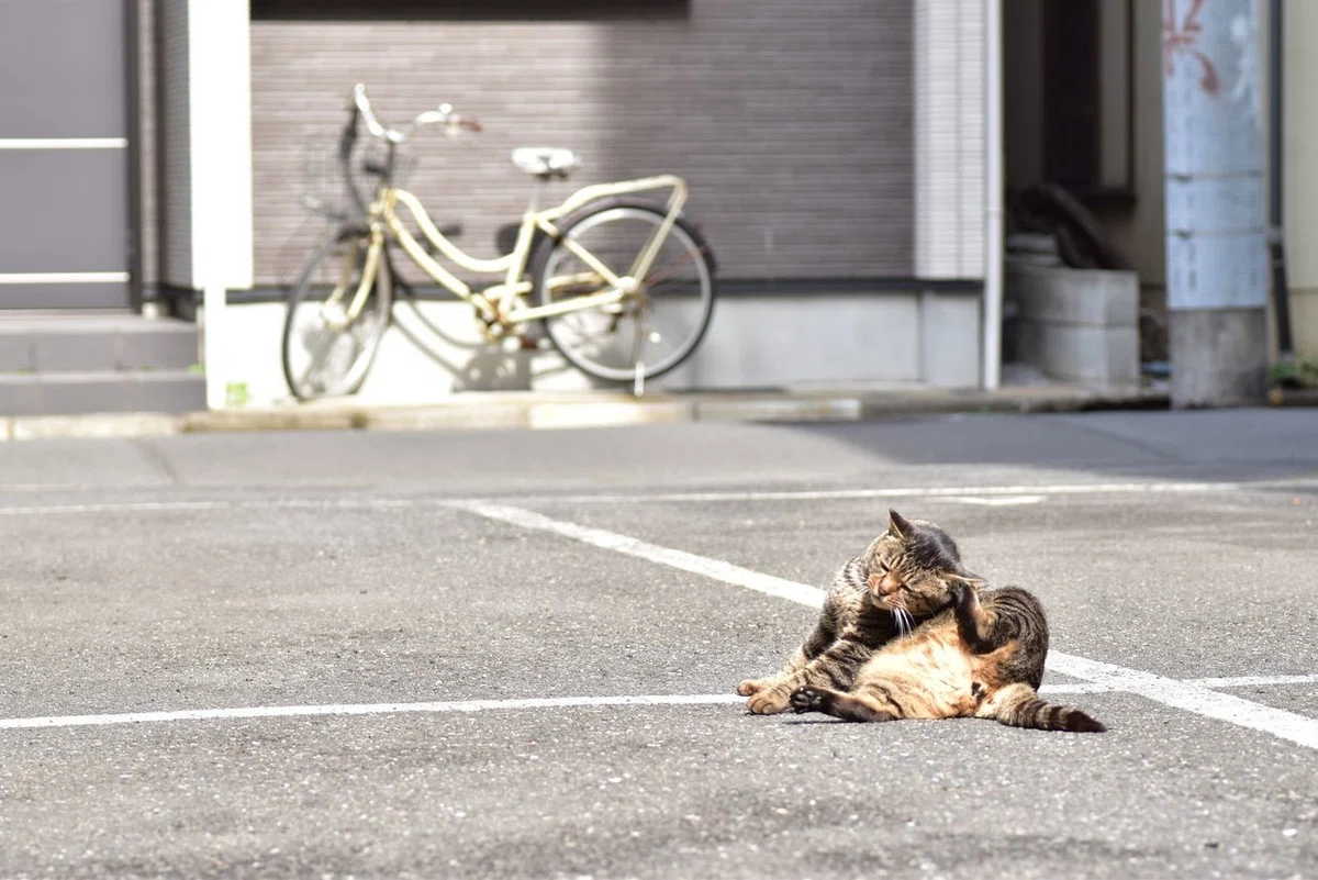 画像7