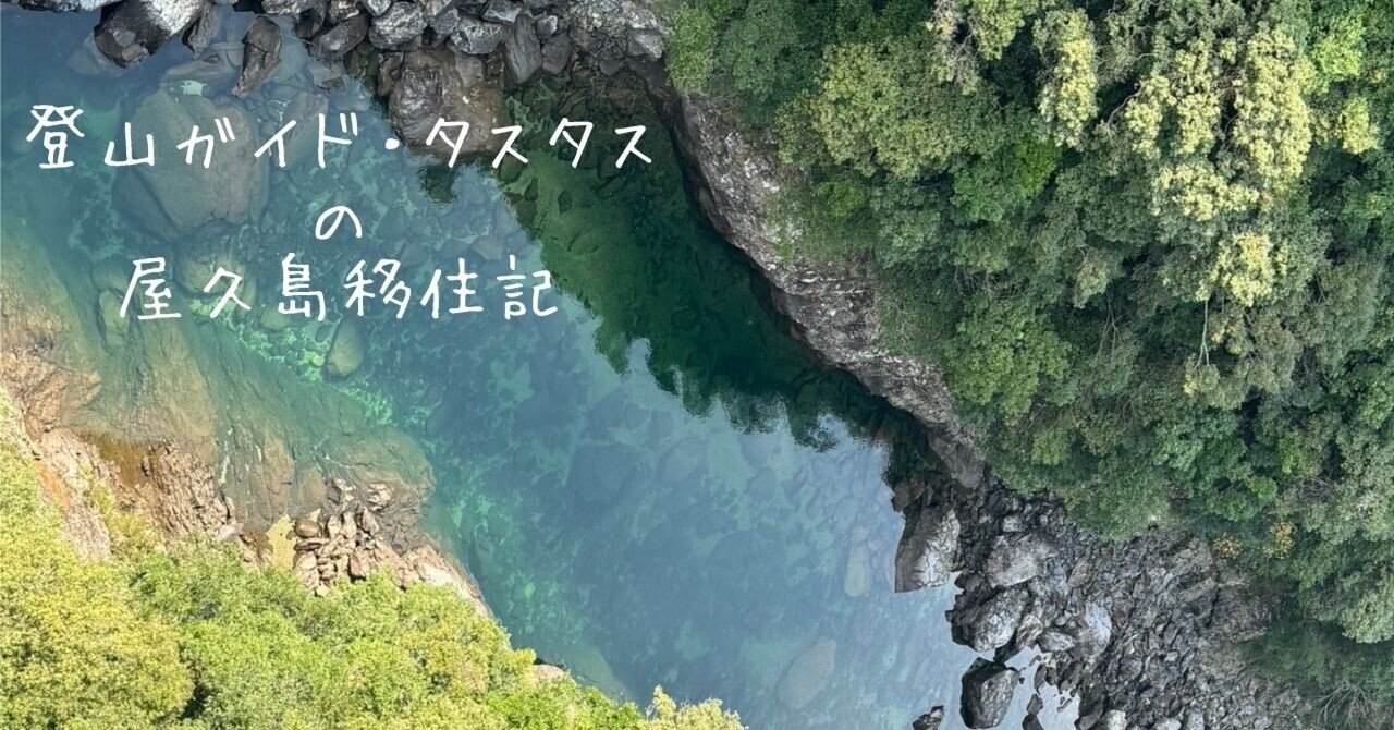 屋久杉ランド】気軽に屋久杉を楽しむ｜tasutasu