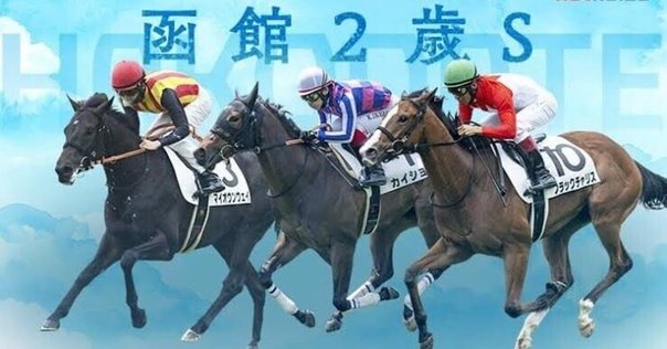 【当選品】函館競馬場　函館2歳S　レプリカゼッケン　ラインパシオン　大江原比呂 函館2歳S】大江原比 新馬V決めたラインパシオンと重賞初騎乗へ
