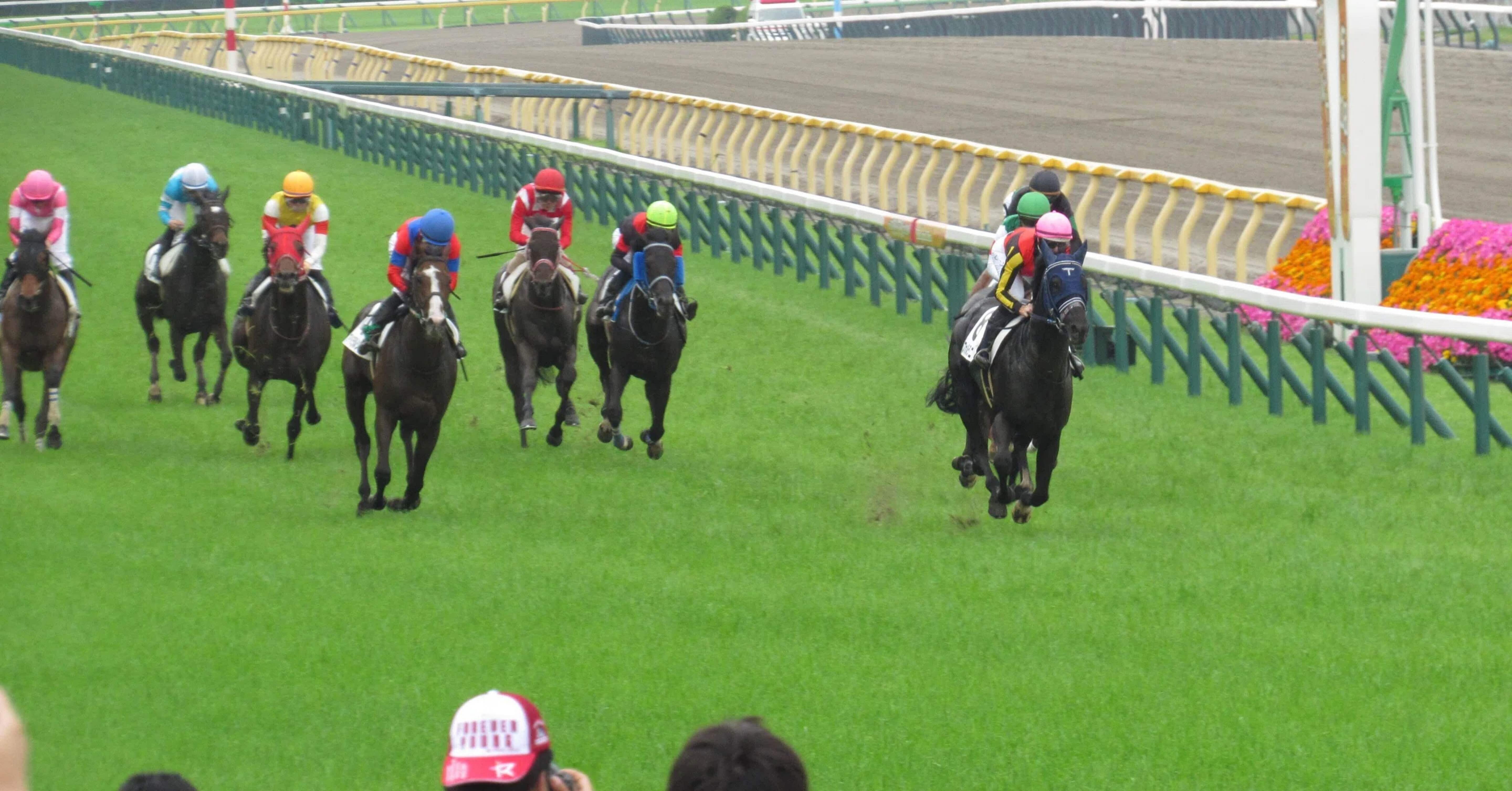【カネヒキリ】重賞馬券５枚セット(現地的中) 競馬 ミニチュアゼッケン かしわ記念の優勝記念、ミニチュア