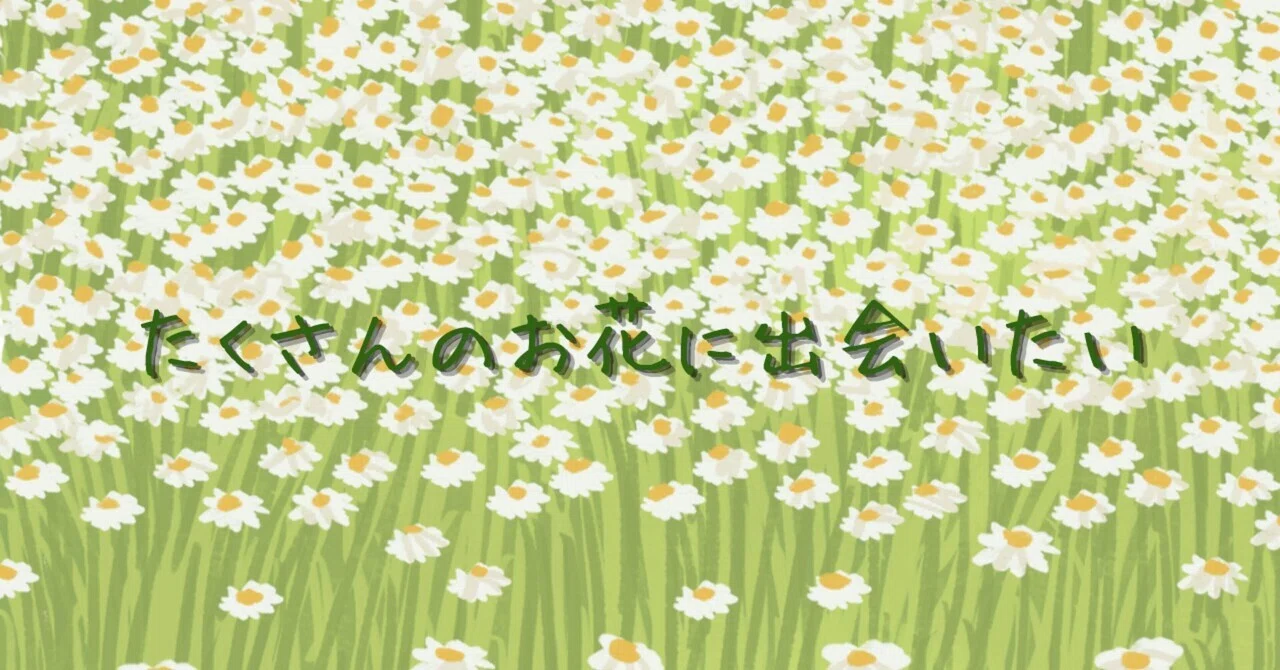 お花畑ページ お花畑で花を愛でる|私の行きたい場所②｜ソラ| 40代で見つけた