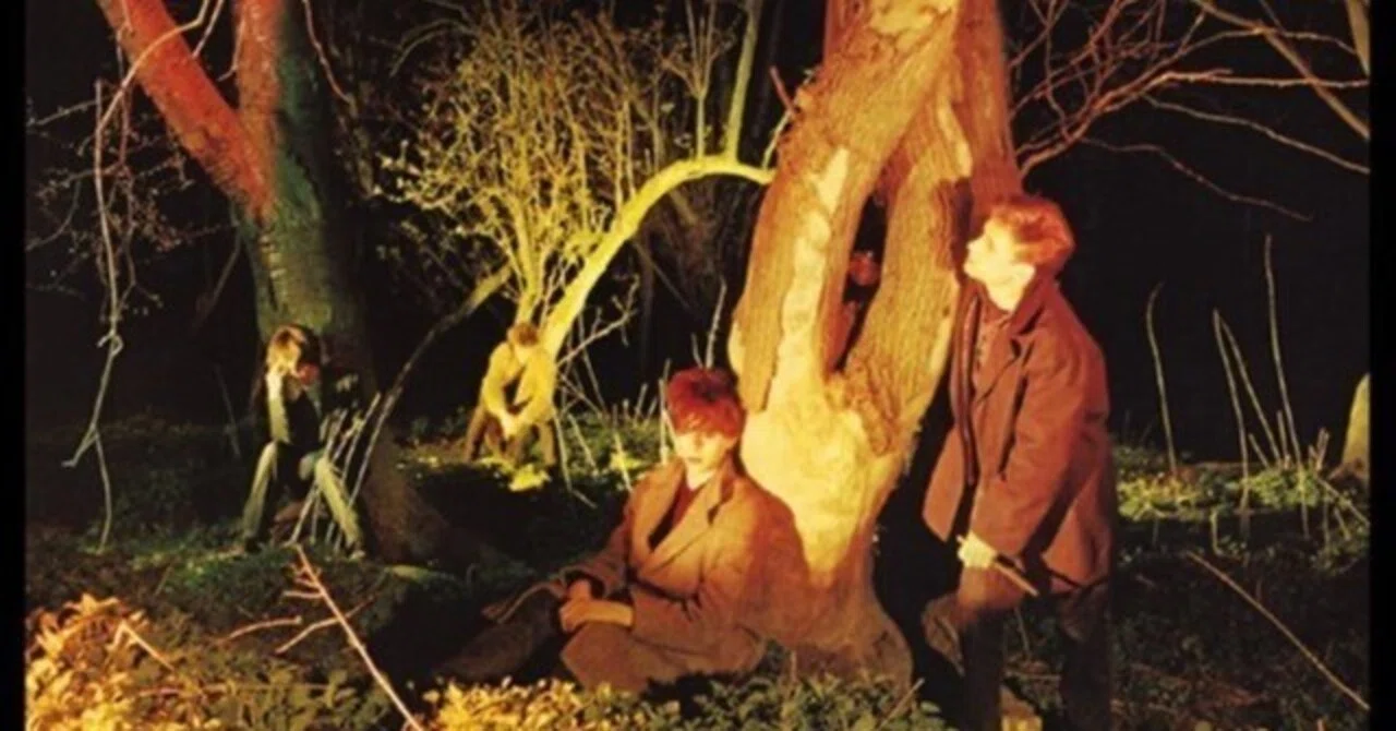 Echo & The Bunnymen / Crocodiles (1980)｜no good