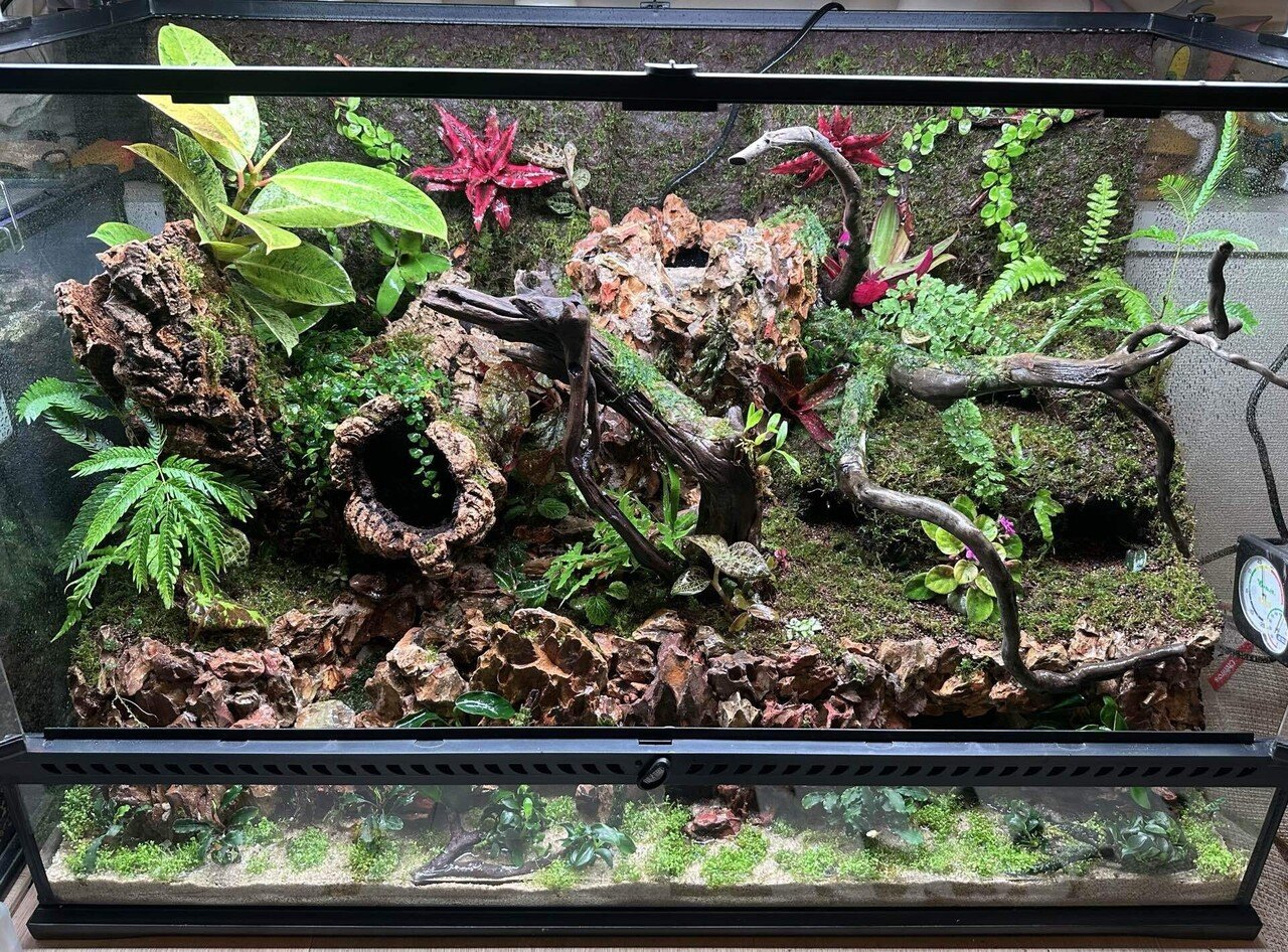 アクアテラリウム きなこもち様専用 【作製キット】はじめての