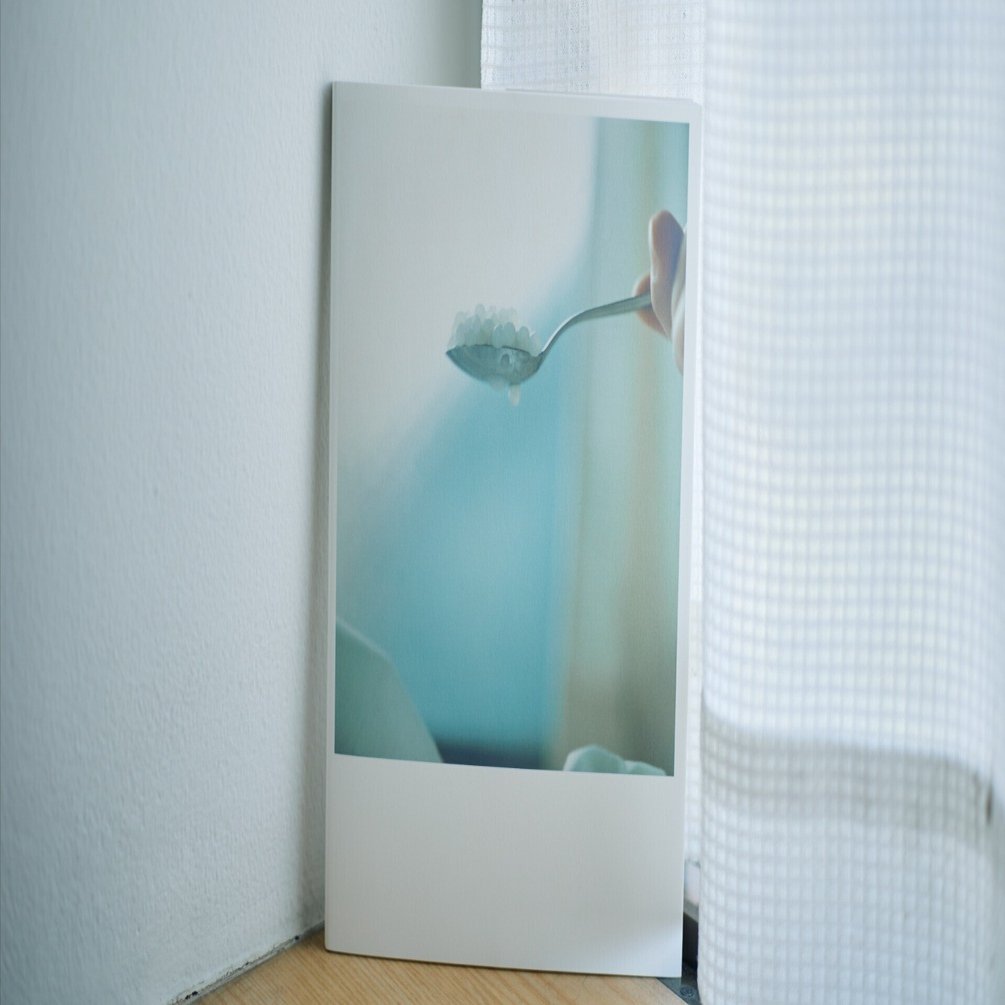 夏が来ると読みたくなる川内倫子の写真集「うたたね」｜三浦えり