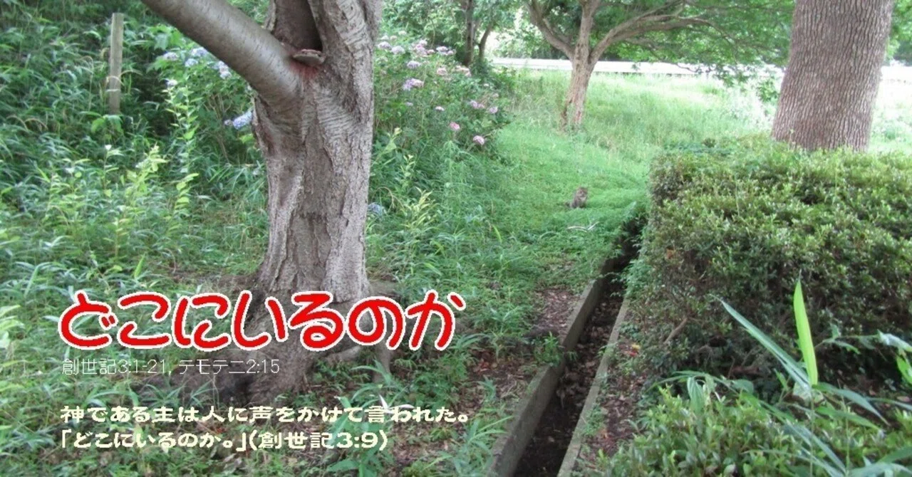 どこにいるのか (創世記3:1-21, テモテ二2:15)｜たかぱん