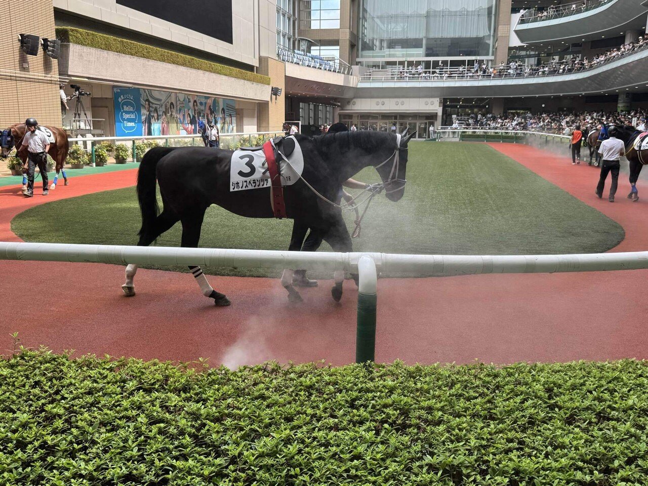 福島競馬場紀行｜若駒ファニー Fanny Wakakoma / ファニーの都心生活