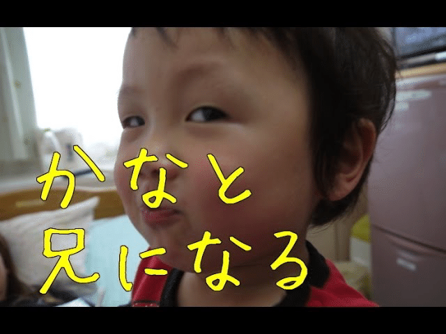 しおんくんの説明書｜だーしま動画チャンネル