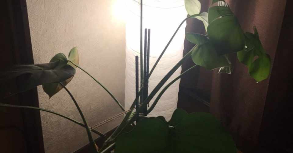 目指せ生活感の ある お洒落な部屋 Nochu Note