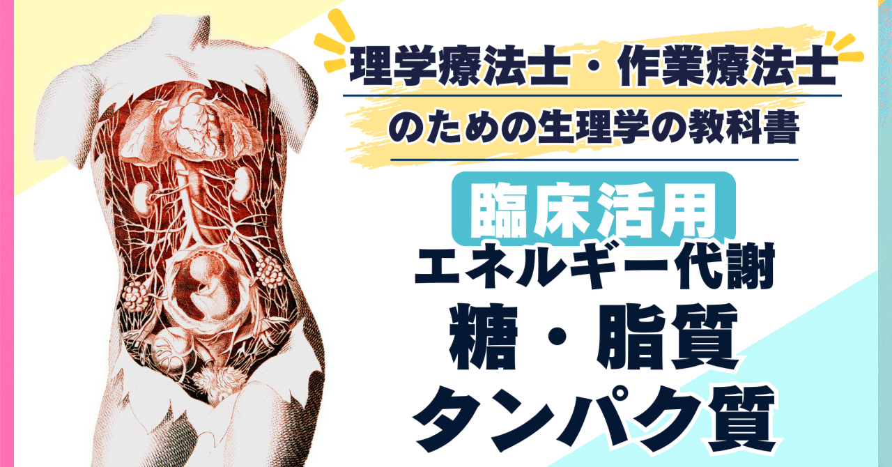 運動療法の効果が変わる】エネルギー代謝学｜糖・脂質