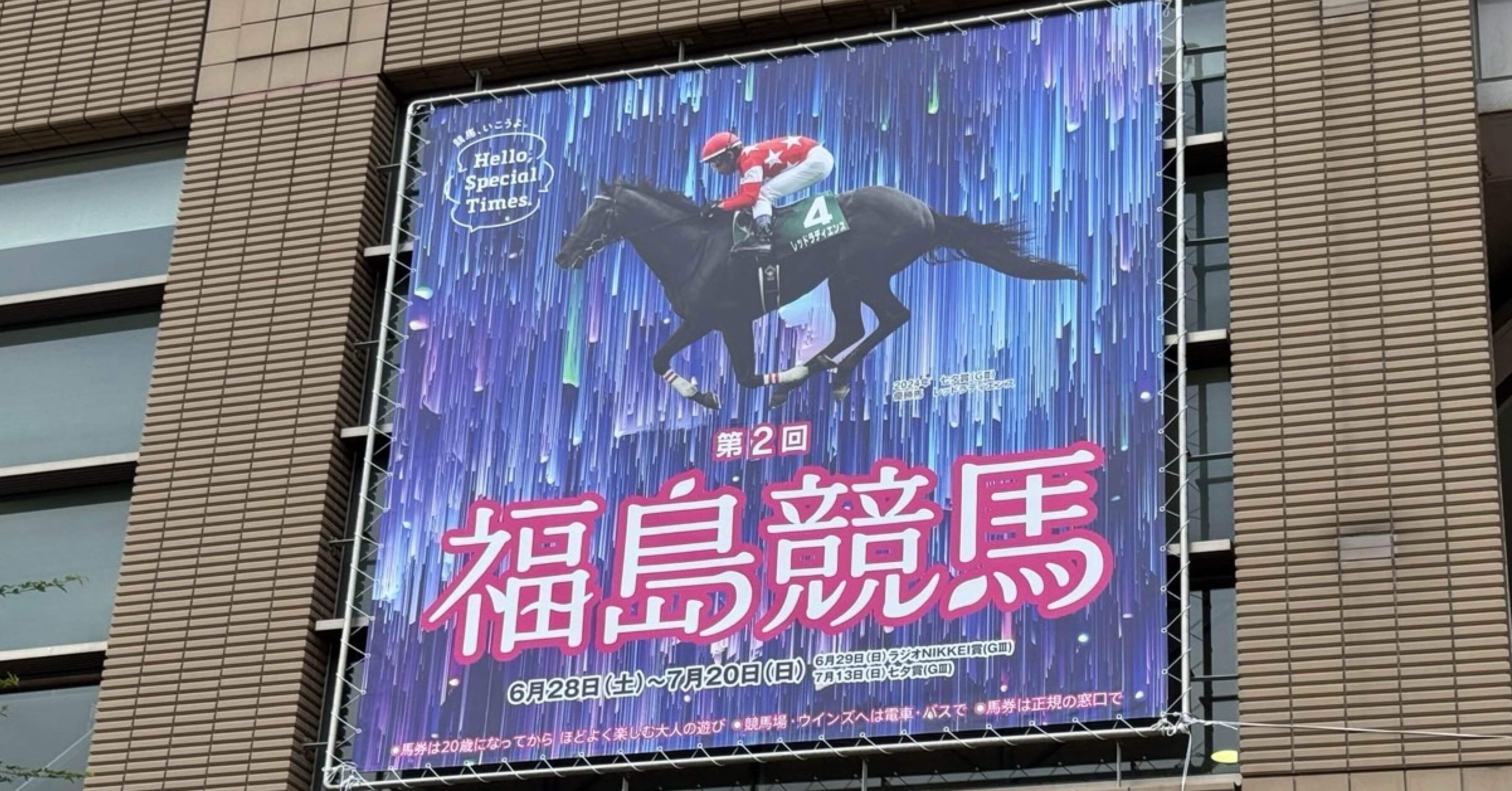 福島競馬場紀行｜若駒ファニー Fanny Wakakoma / ファニーの都心生活