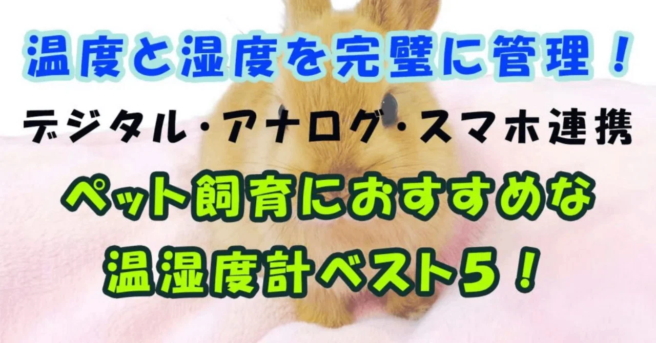 ペット向け 温度計・湿度計おすすめベスト5選【外出先からでも確認