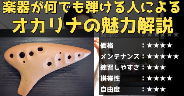 動画あり 民族楽器 アフリカンベル カウベル