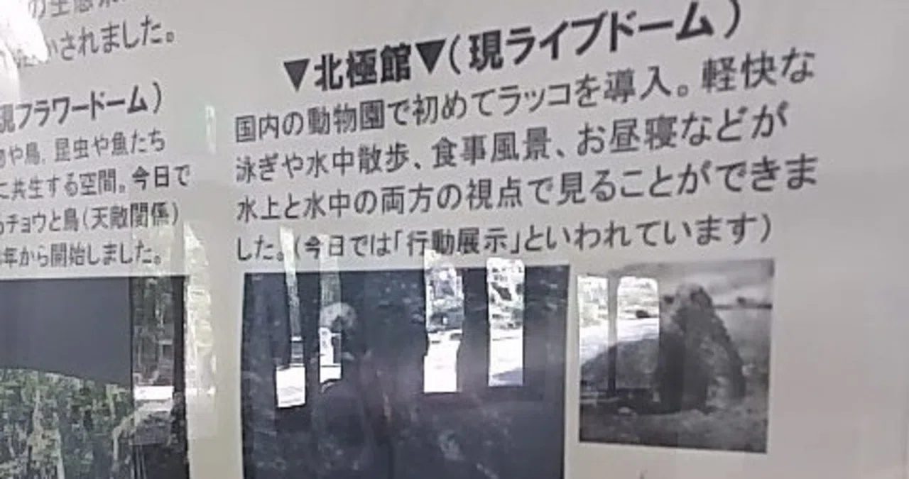 ピラルク社長様☆確認用 粗かっ