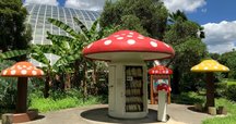 花に恋して 牧野富太郎 日本植物学の父 監修 田中伸幸（国立科学