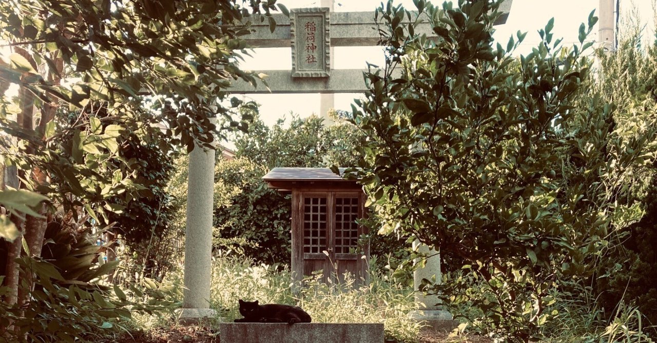 黒猫、そして7月の夕方の日差し｜銀木犀＜薬園台＞