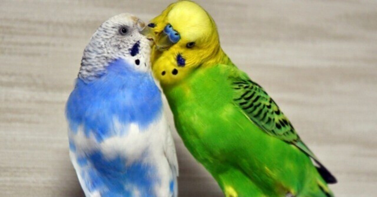 注意喚起！知らぬ間に小さな命を奪う「テフロン中毒」の恐怖 ...