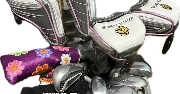 PING - ウナギちゃん PING G425 ドライバー 3w＆キャディバッグ PING - ウナギちゃん PING G425 ドライバー 3w＆キャディバッグ