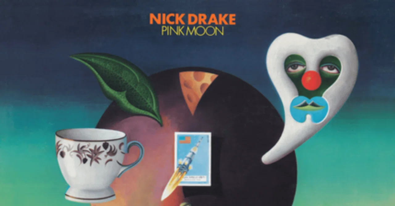 Nick Drake - Pink Moon [和訳]｜Shredan