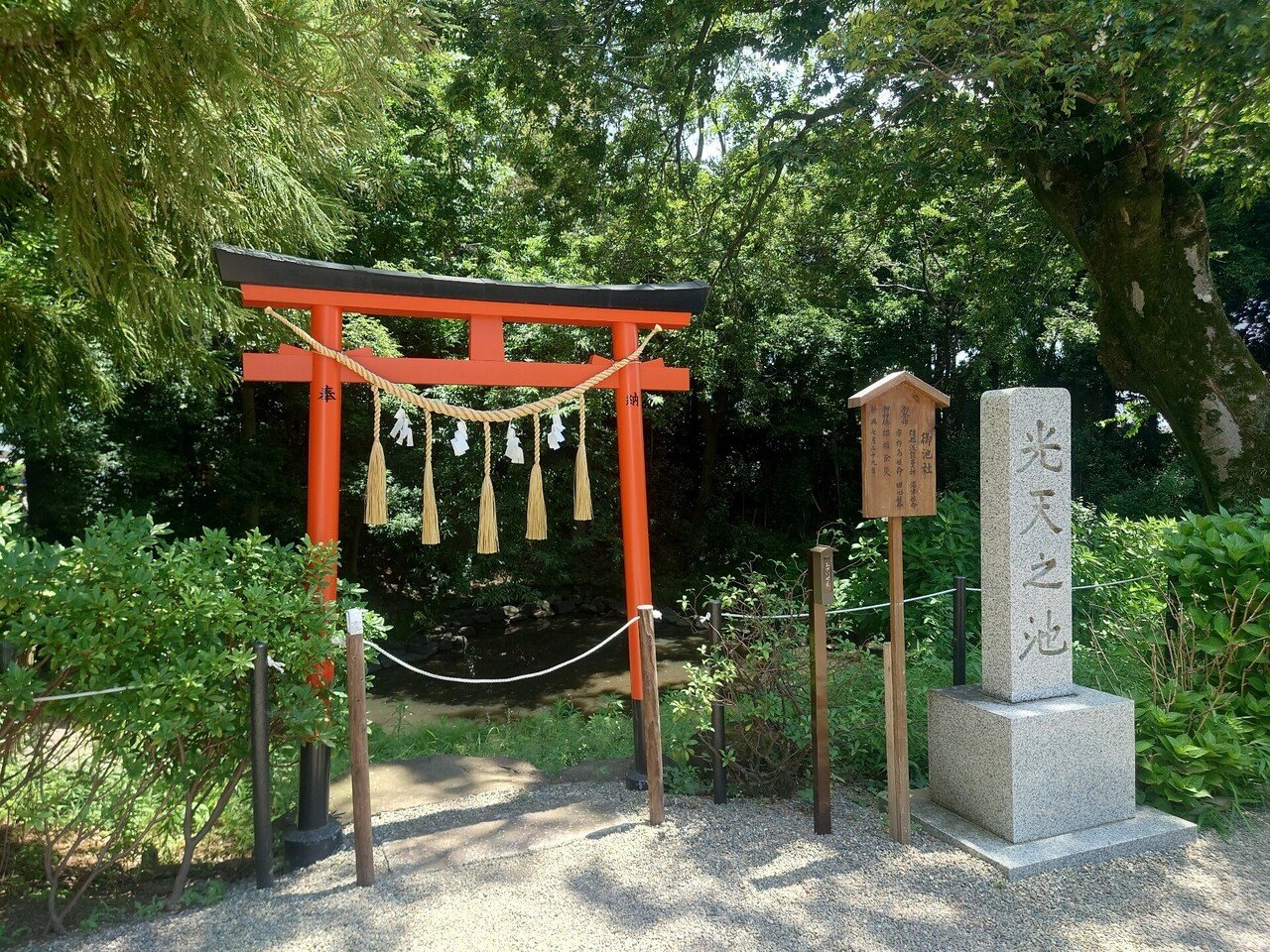 ★ヒデ様★専用★自然界を支配する✡️緑の龍神さま✡️置物(陶器) 龍神様に呼ばれて🐲｜セリ ／龍神様との日常