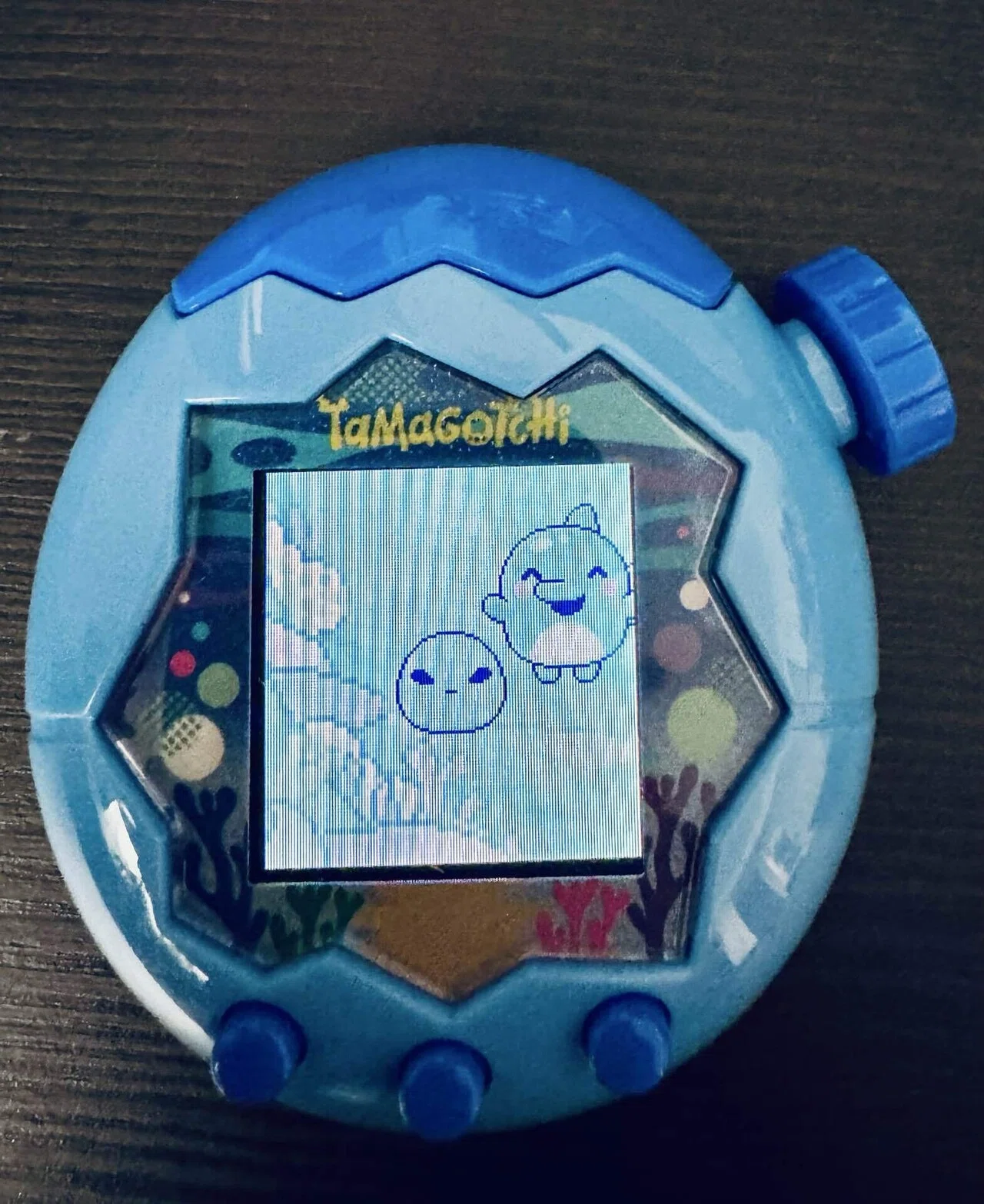 たまごっちパラダイスを買った話｜ぽぽぽ