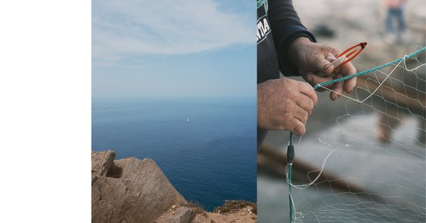 漁師はなぜ、海を向いて住むのか? : 漁村・集住・海廊 Amazon.co.jp: 漁師はなぜ、海を向いて住むのか? : 漁村集住海廊