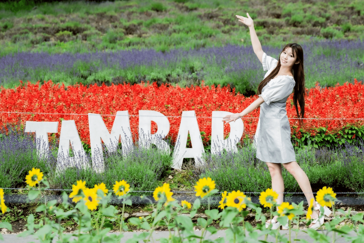 ラベンダー🪻とポートレート｜Laskeypictures