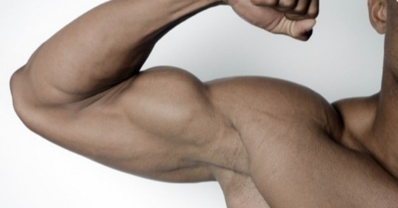 筋トレ初心者必見 筋肉がつかないワケ と 筋肉をつけるために知っておくべき4つの事実 やまちゃん 大学生ブロガー Note