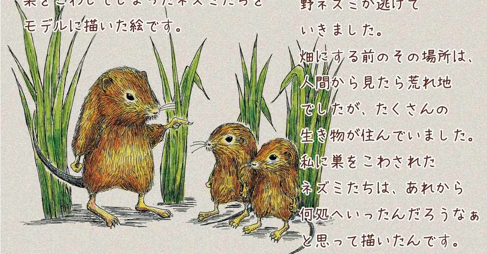 インスタ絵本 はじまりのはなし ネズミは何処へいったep 1 4 風のまにまに便 Note