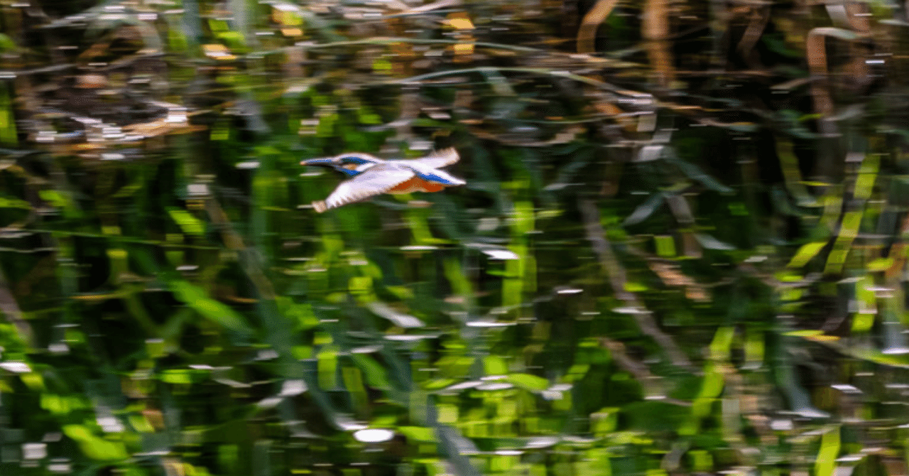 川岸にいる鳥　パステル画 00156_1.jpg