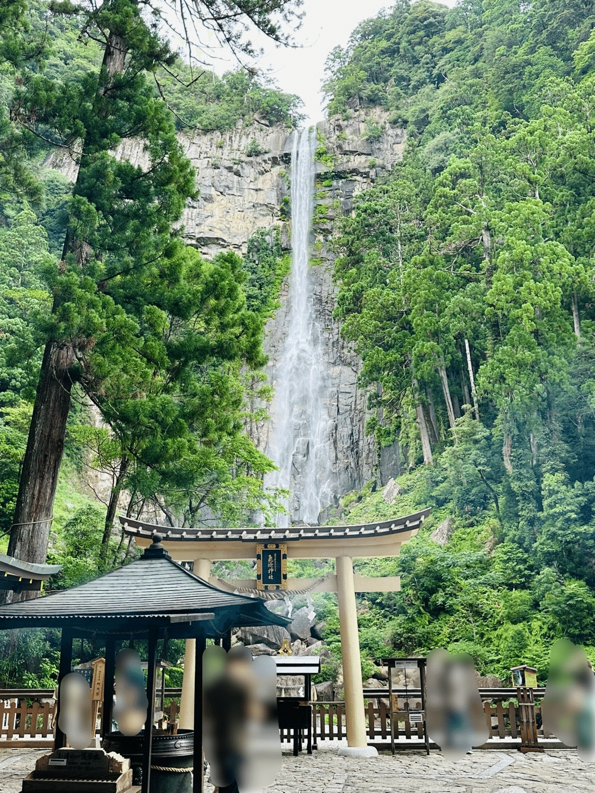 神社マニアが選ぶ！オススメ神社BEST10⛩️（2025年版）｜なり