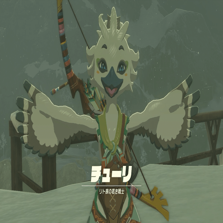 ゼルダの伝説ティアーズオブザキングダム #21 【吹雪と不穏な風】 四