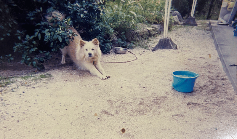 ジソンシン下村の体験 バスケ少年 心霊 ジソンシン下村啓太 Note