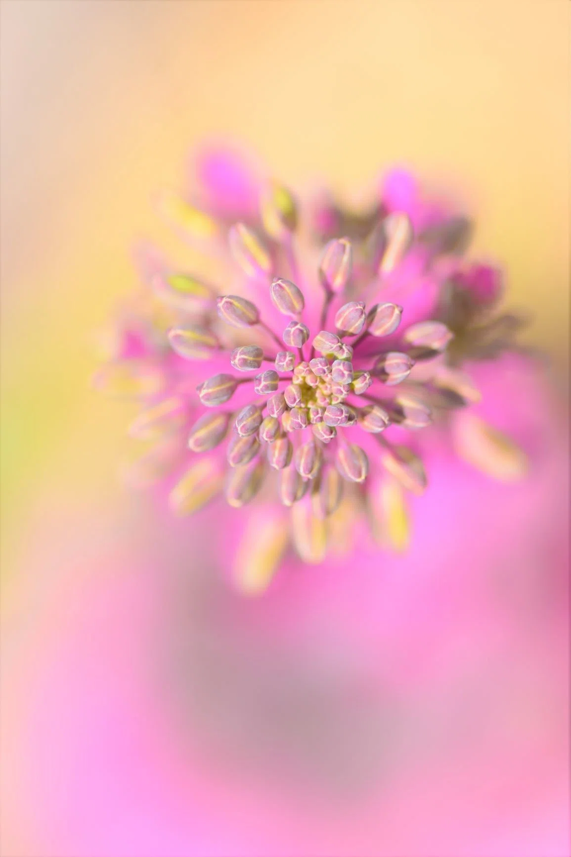 画像17