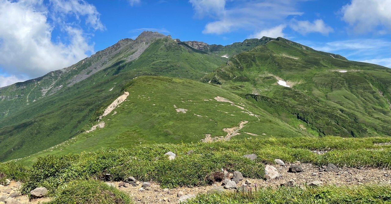 高山植物満開、鳥海山に行ってきた｜ニシノトシコ