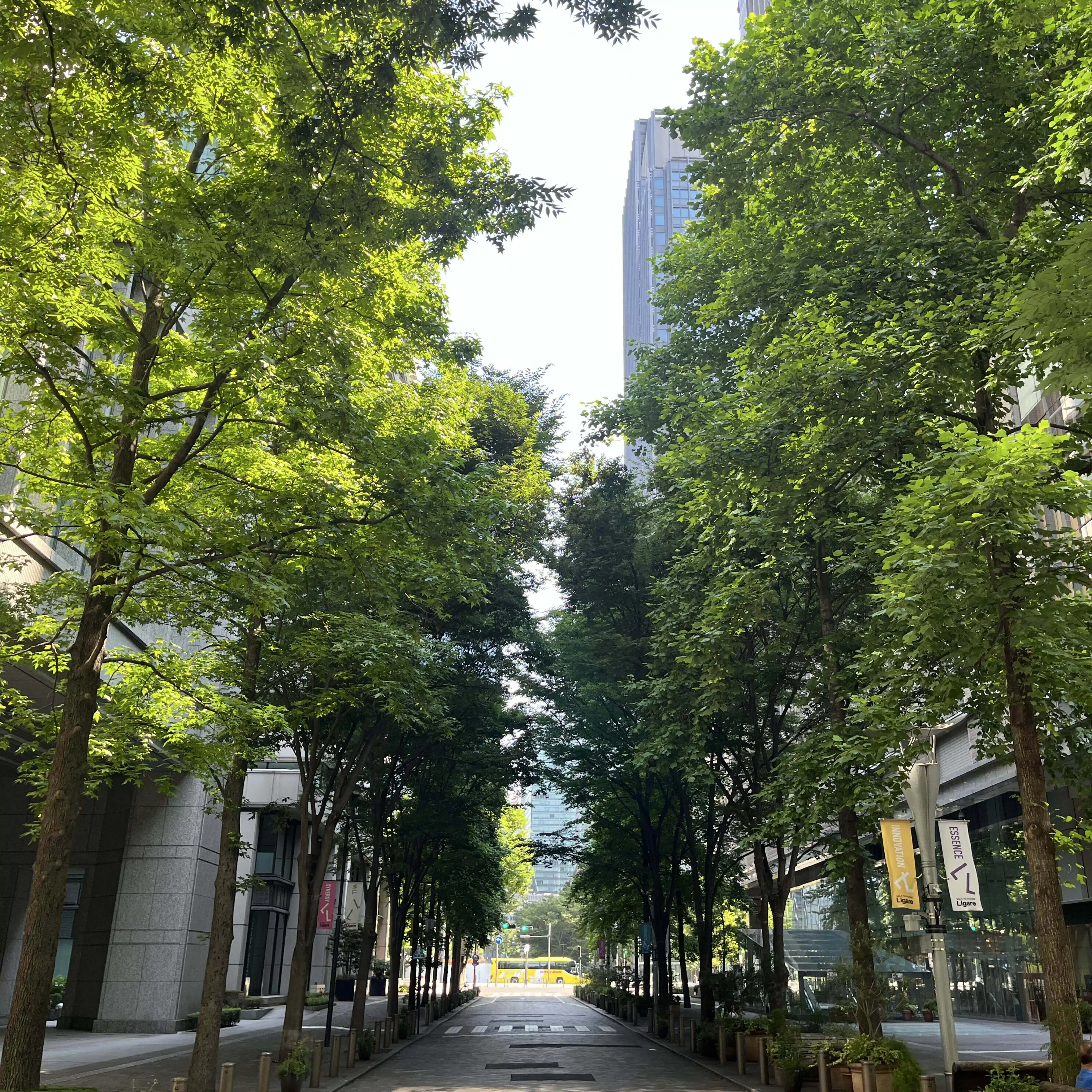 shuji    shinozaki