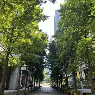 shuji    shinozaki